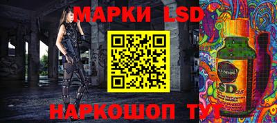 индика Новодвинск