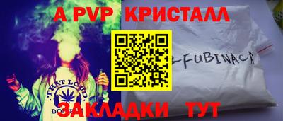 индика Новодвинск