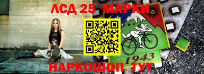 индика Новодвинск