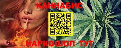 индика Новодвинск