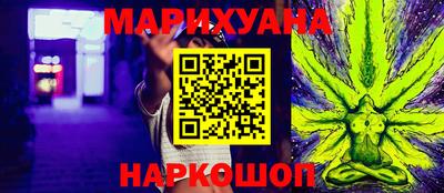 индика Новодвинск