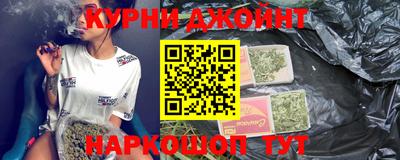 индика Новодвинск