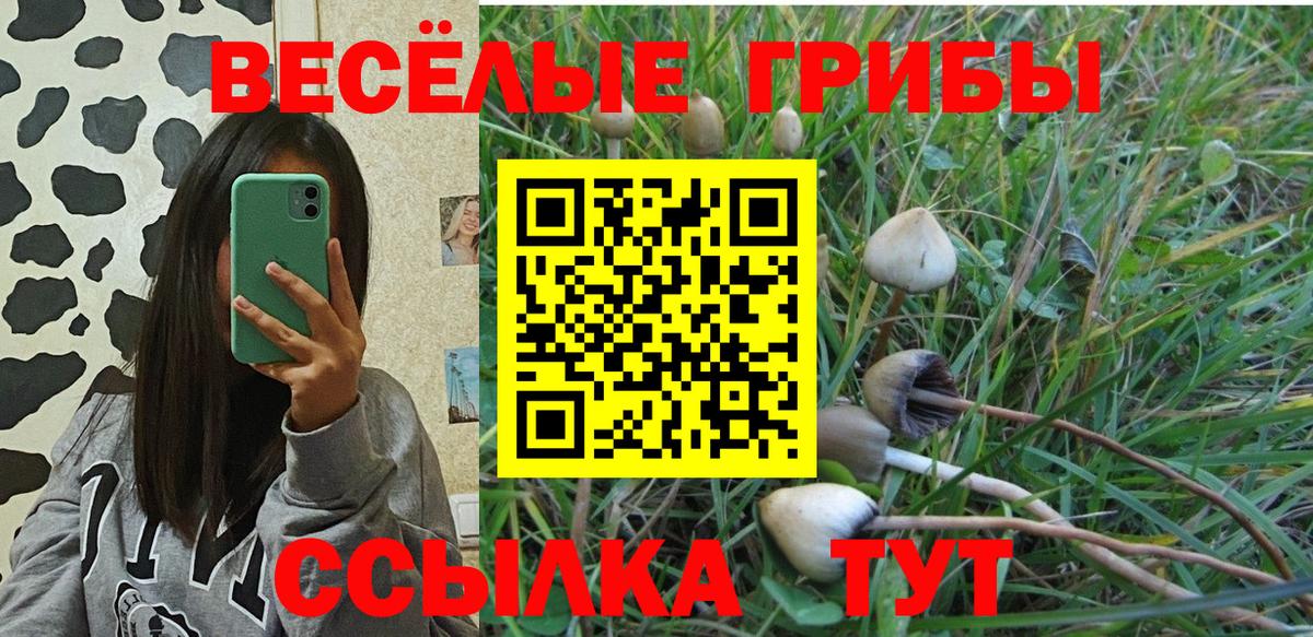 Псилоцибиновые грибы Magic Shrooms Тольятти