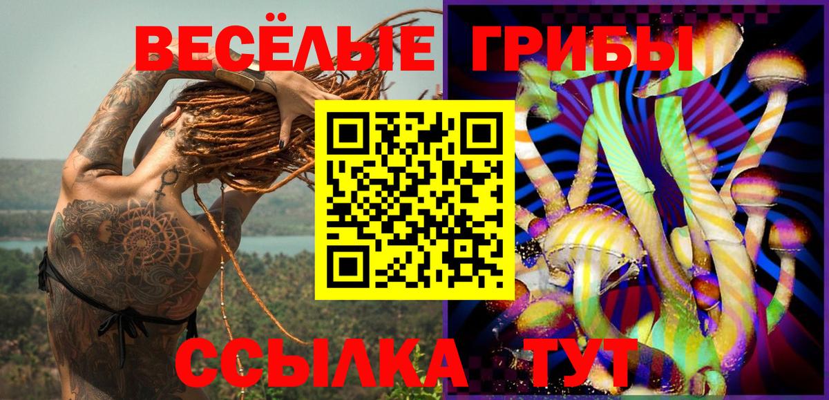 Псилоцибиновые грибы Cubensis  Вход с VPN  Тольятти 